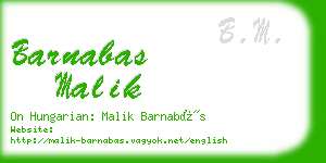 barnabas malik business card